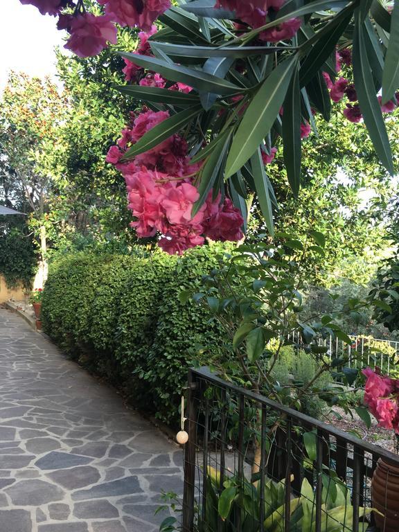 Villa Lucrezia - Dimora In Suvereto Suites&Apartments Exterior foto