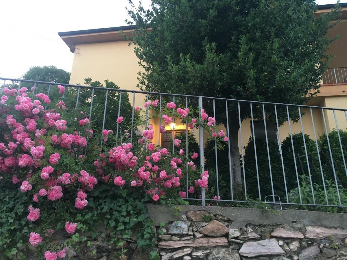 Villa Lucrezia - Dimora In Suvereto Suites&Apartments Exterior foto
