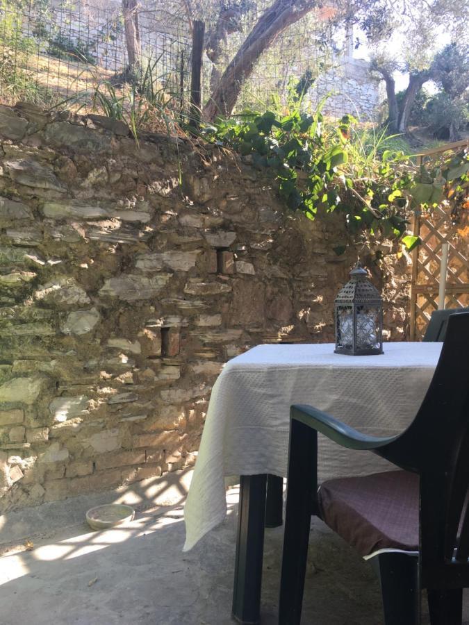 Villa Lucrezia - Dimora In Suvereto Suites&Apartments Exterior foto